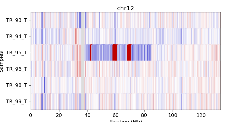 _images/heatmap-tr-chr12.png